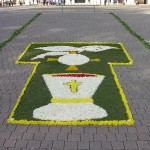 00 - Infiorata 2008 (11)