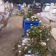 Riesplode la questione del Cimitero dei Rotoli a Palermo. Nella settimana che porta alla Domenica delle Palme, sono in molti a lamentare le condizioni indecorose e lo stato di incuria  in cui versa...