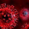 I palermitani hanno capito che il Coronavirus non è poi così "cattivo"?