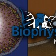 Dal 12 al 23 marzo 2018, biofisici di tutto il mondo si sono dati appuntamento per la Biophysics week 2018 nelle piazze, nei bar, nelle scuole per presentare in maniera colloquiale le loro...