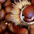 (Fonte EcoSicilia.it) Una volta chiamata la Sagra delle Castagne, oggi è stata ribattezzata “Festa dei Sapori  Madoniti d’Autunno” ed è in programma a Petralia Sottana dal 24 al 26 ottobre 2014. Un vero e proprio...