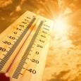 Caldo estivo con picchi di 32-35°C in pianura, più afoso lungo i litorali.