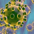 Ieri pomeriggio si è confermata la positività del coronvirus